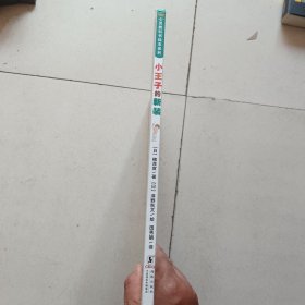 心灵教科书绘本系列：小王子的新装（《皇帝的新装》剧情逆转！培养孩子直面一切的勇气和智慧）丁虹绘本馆出品 [3-6岁]