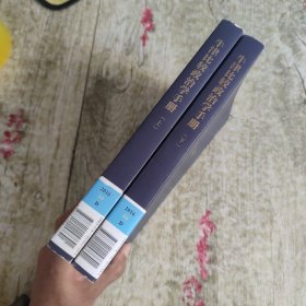 牛津比较政治学手册 上下册 全二册