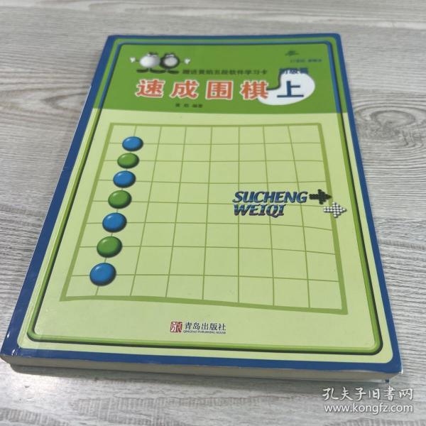 初级篇-速成围棋(上)