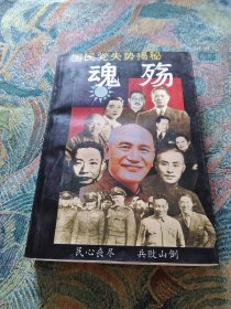 魂殇 国民党失势揭秘