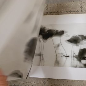 千枝彩荷落清漪