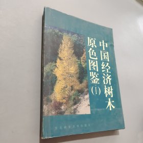 中国经济树木原色图鉴