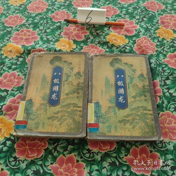 八极游龙