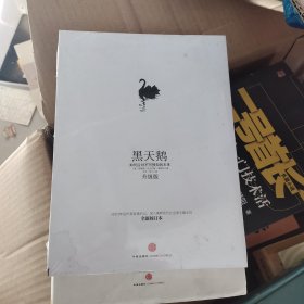 黑天鹅：如何应对不可预知的未来