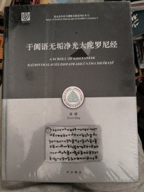 于阗语无垢净光大陀罗尼经
