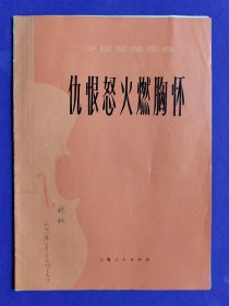 小提琴独奏曲 仇恨怒火燃胸怀 附：分谱。