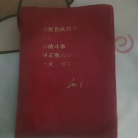 中国的红色政权为什么能够存在？井冈山的斗争 关于纠正党内的错误思想 星星之火，可以燎原