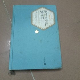 名著名译丛书：钢铁是怎样炼成的