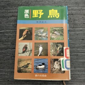 原色 野鸟（图谱） 日文原版