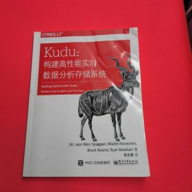 Kudu：构建高性能实时数据分析存储系统(博文视点出品)