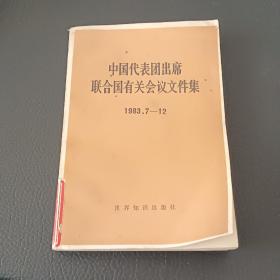 中国代表团出席