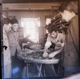 1964年底片一张，金寨县社员观看养蚕，画面上有几处小点