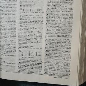 汉语大字典（缩印本）