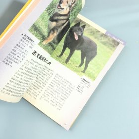 新编世界名犬438种（第2版）