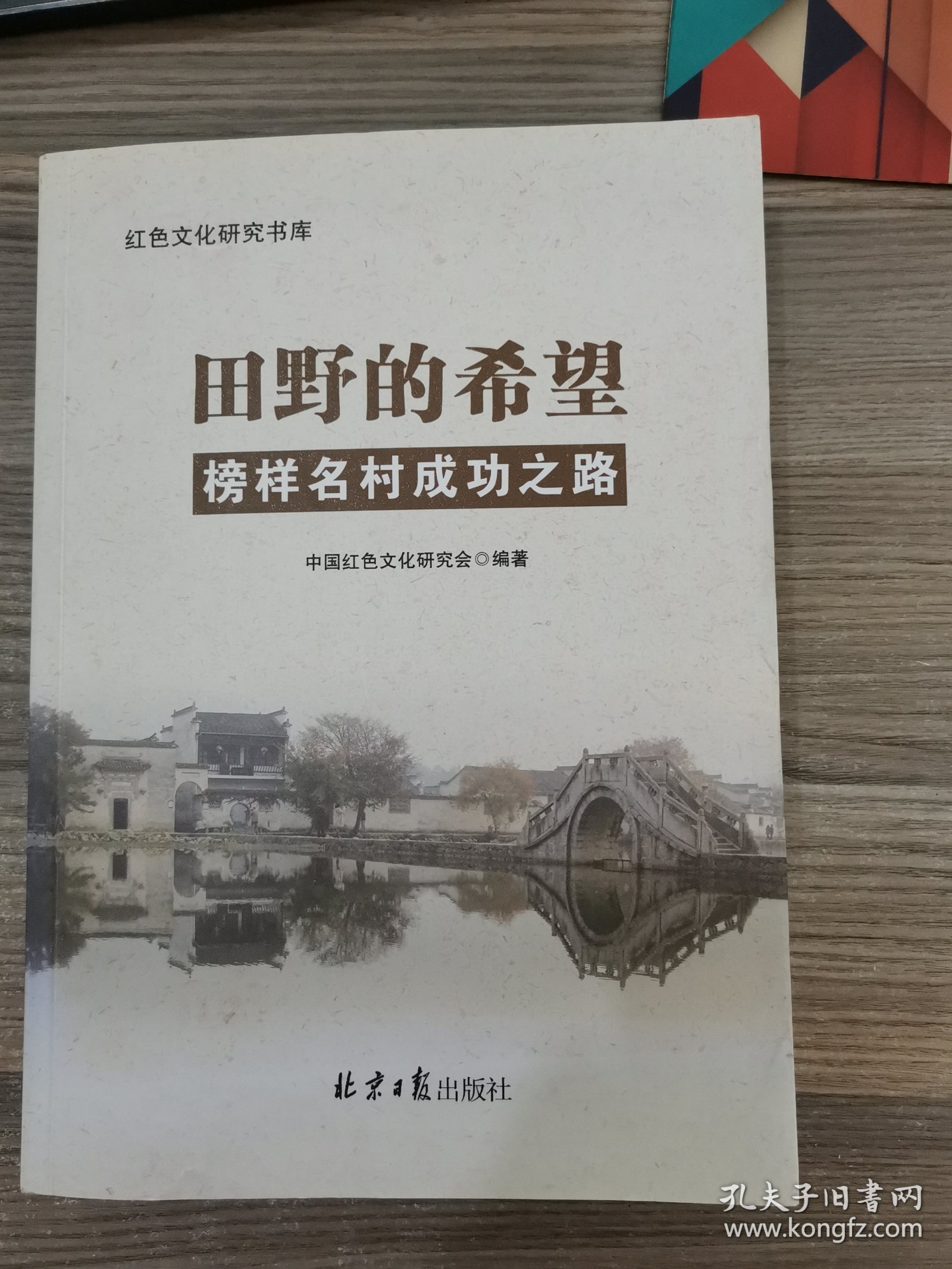 田野的希望榜样名村成功之路/红色文化研究书库