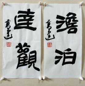 高建，中国书协会员；中国书协济宁考评委员会委员；中国楹联学会书法艺术委员会委员；中国书法教育委员会会员；山东省青年书法家协会理事；山东省书法家协会会员；泰安市书协副主席；东岳印社常务副秘书长、宁阳分社社长；泰安市青年书法家协会主席团委员、宁阳分会主席…… 《澹泊、达观》小品一幅，来自作者，保真。17 x 34 cm x 2，未装裱。d7469 。 附同批作品部分作品合影。