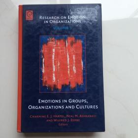 英文原版 Emotions in Groups, Organizations and Cultures 组织中的情绪研究第 5 卷