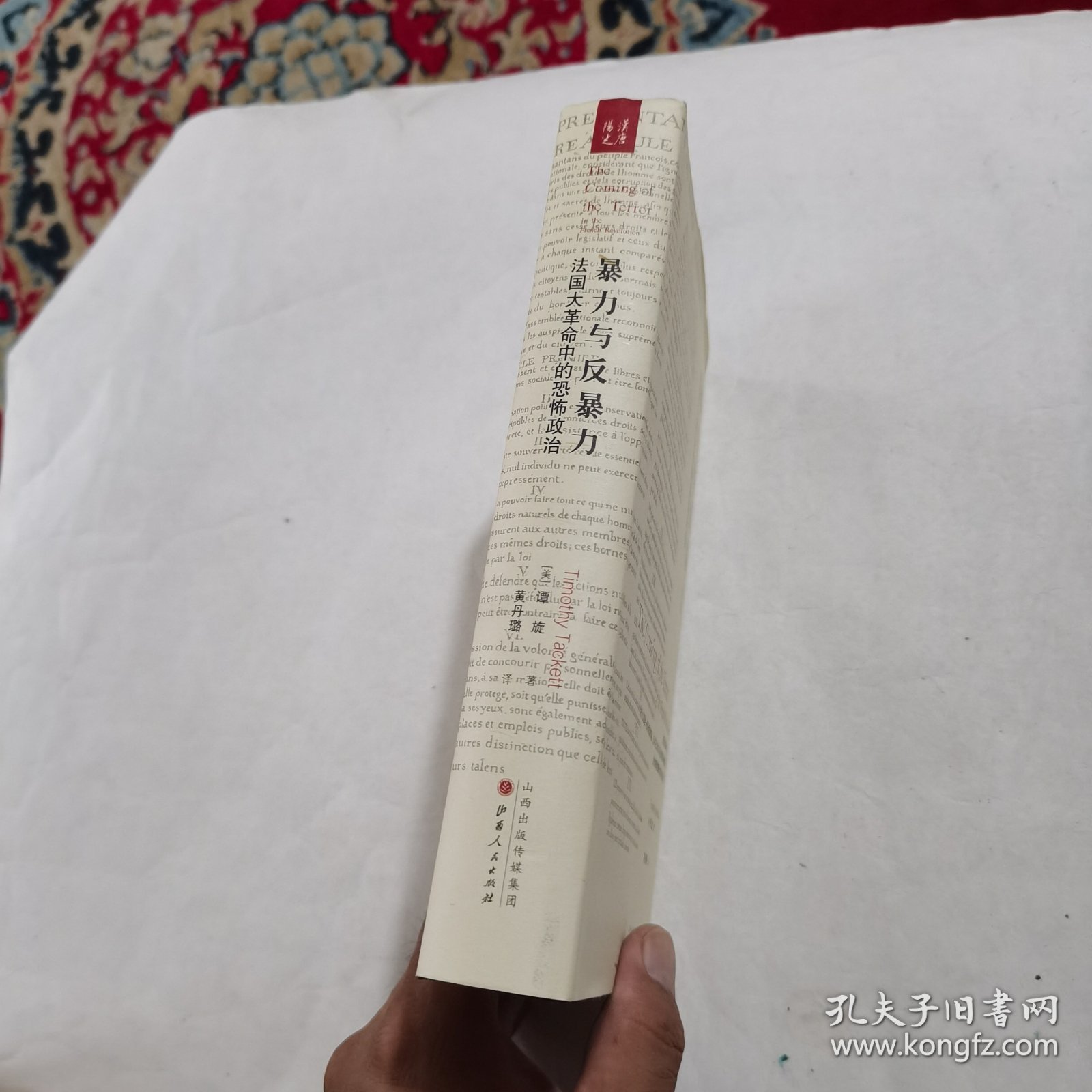 暴力与反暴力：法国大革命中的恐怖政治（精装）