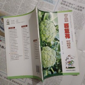 图文精解西蓝花种植技术