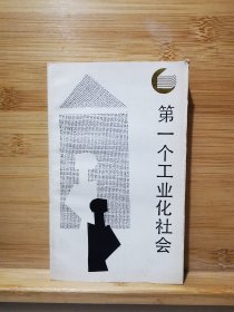 第一个工业化社会 走向未来丛书