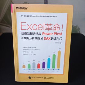 Excel革命！超级数据透视表PowerPivot与数据分析表达式DAX快速入门(博文视点出品)