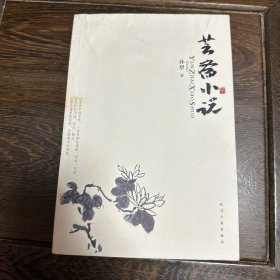 芸斋小说