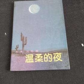 温柔的夜