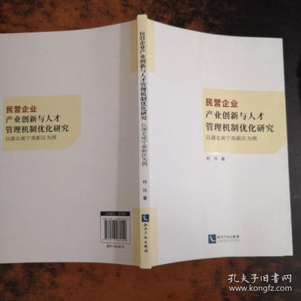 民营企业产业创新与人才管理机制优化研究：以湖北咸宁高新区为例