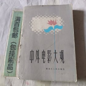 中外电影大观
