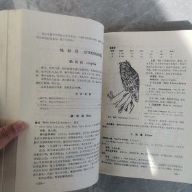 青海经济动物志（全一册）〈1989年青海初版发行〉