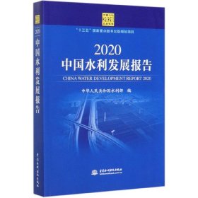 2020中国水利发展报告