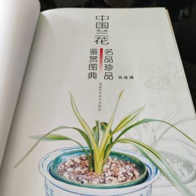 中国兰花名品珍品鉴赏图典