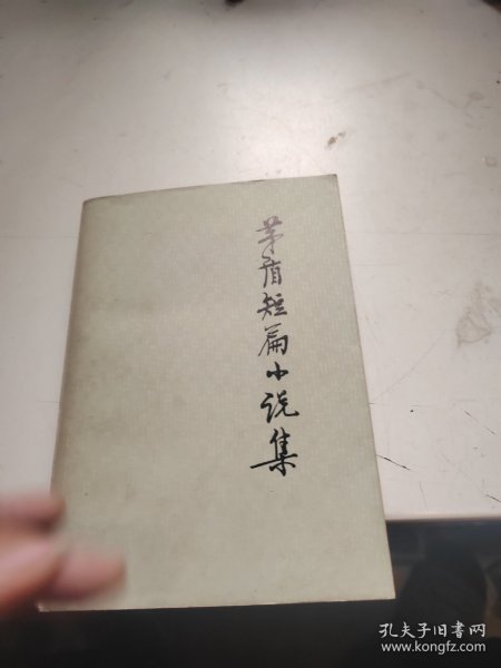 茅盾短篇小说集（上）