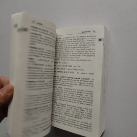 牛津英汉双解百科分类词典系列：牛津英汉双解计算机词典