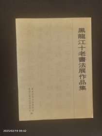 黑龙江十老书法作品集