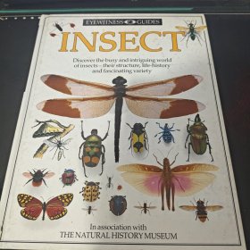 EYEWITNESS GUIDES INSECT