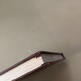 yстройствои летнаЯэксплуатациЯ CИЛОBЫX yctaHobok（飞行操作 俄文）