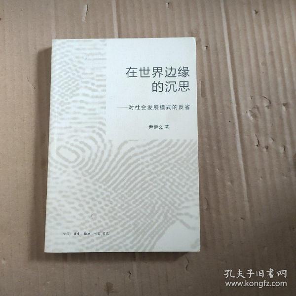 在世界边缘的沉思：对社会发展模式的反省