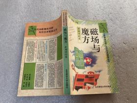 磁场与魔方：当代诗歌潮流回顾·写作艺术借鉴丛书（新潮诗论卷）