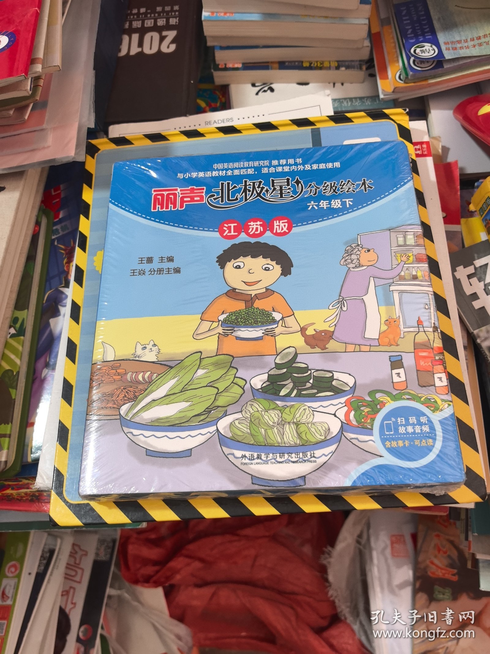 丽声北极星分级绘本六年级下（江苏版，未拆封）