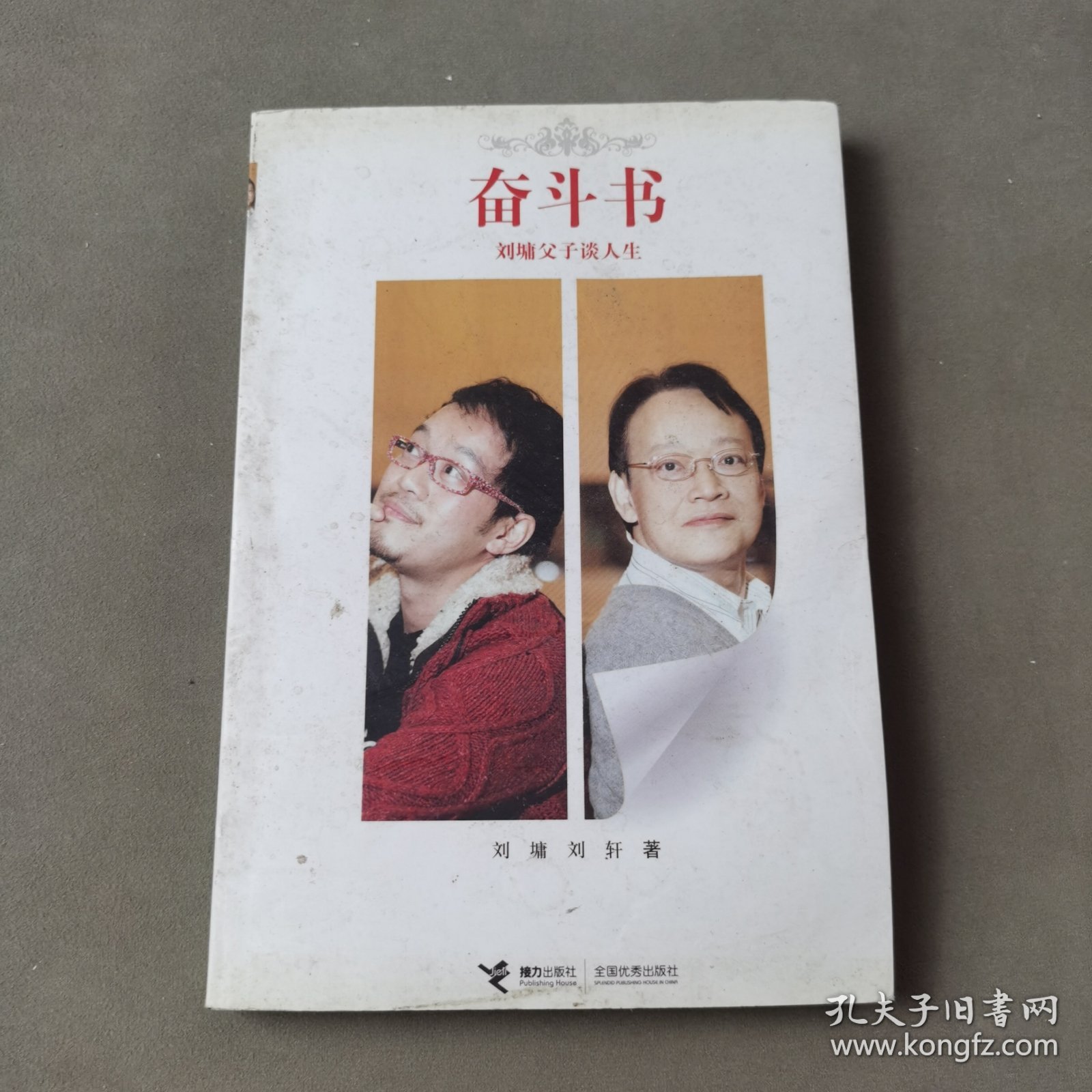 奋斗书：刘墉父子谈人生