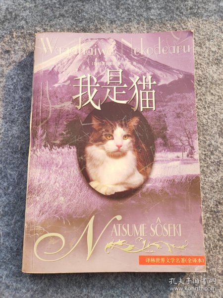 我是猫