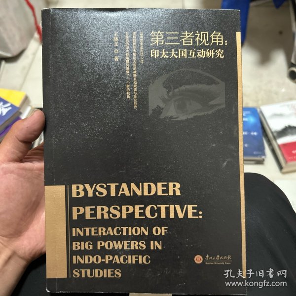 第三者视角——印太大国互动研究