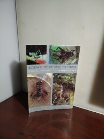 中国宁津蟋蟀志