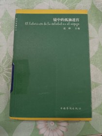 镜中的孤独迷宫：文学偏锋系列