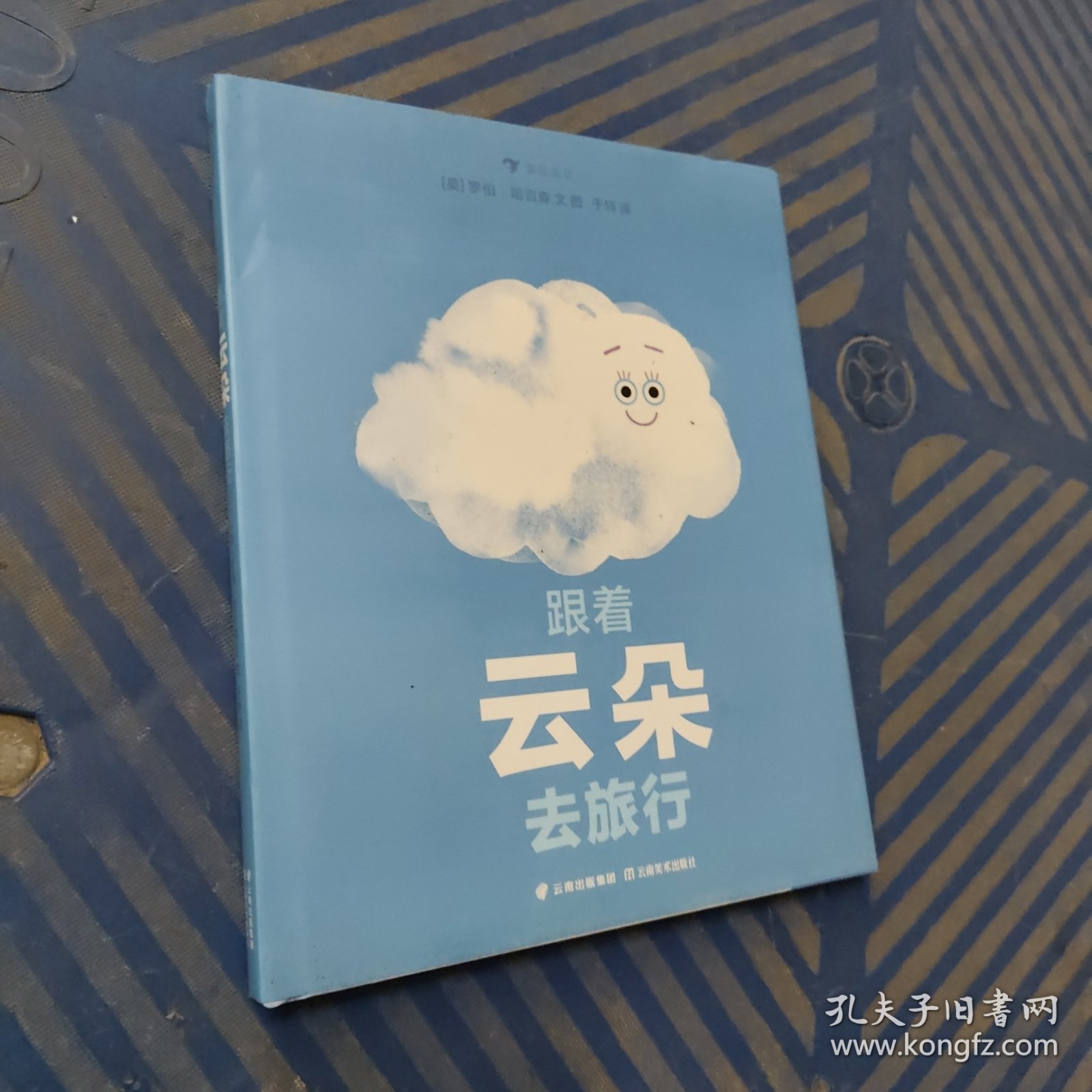 跟着云朵去旅行 跟着云朵四处飘动，和它一起经历变化，了解水循环和天气变化的奥秘。浪花朵朵出品