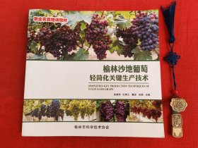 榆林沙地葡萄轻简化关键生产技术【施肥、病害、修剪等等】