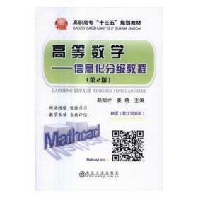 高等数学:信息化分级教程