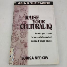 RAISE YOUR CULTURAL IQ