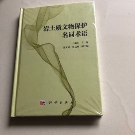 岩土质文物保护名词术语（包邮，未拆封）